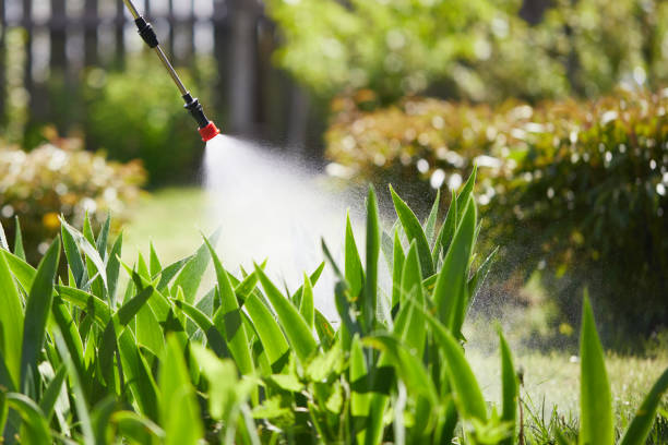 24/7 Emergency Termite Control experts in Muldraugh, KY