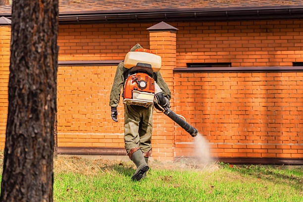 Trusted Bed Bug Control service in Muldraugh, KY - Nex Pest Control